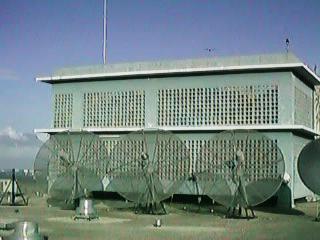 palmb001.jpg (15496 bytes)